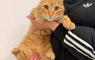 PHOTO-2026-01-18-19-28-01