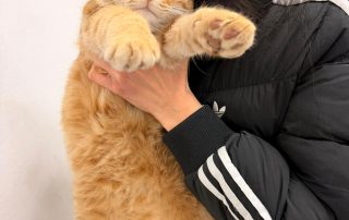 PHOTO-2026-01-18-19-28-01 2