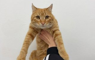 PHOTO-2026-01-18-19-28-01 3