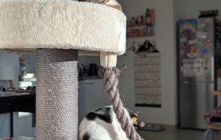 a4b2236f-a168-462c-acd6-fb052425a976