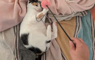 bc0205d9-b208-4724-bdd0-956f08f5e8ce