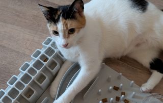 e199846b-ebfc-4961-a962-4a0bf4d4b67c