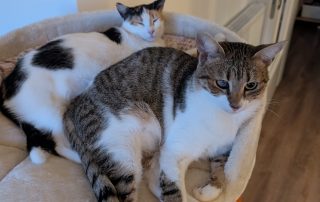 f03fb2b2-36aa-4cf9-a96e-b16f595943f0