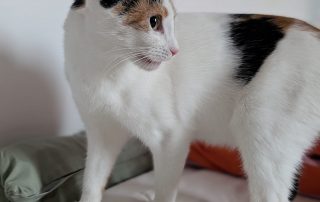 f69619ed-8108-4e32-bdbe-d2644f59b585