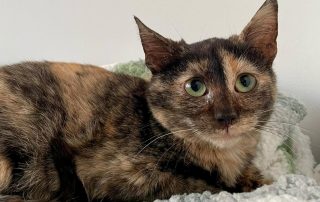 3387a47c-b69b-41f6-9af3-b4ab0fc35653