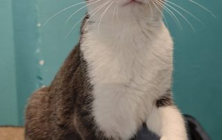 622650470_1316162170543922_551787005716008654_n