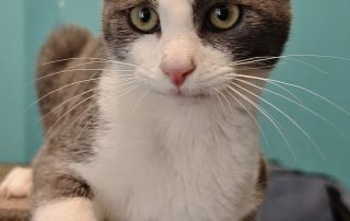 623166210_1316161740543965_113293066816416139_n