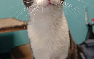 623262151_1316162067210599_6275363610660569319_n