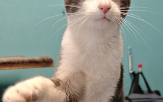 624215449_1316162127210593_3964335134307996130_n