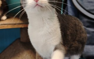 624687327_1316162007210605_3353372485813058779_n