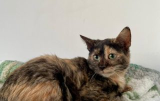 7e3a6e79-ef90-4115-960d-b371cd252dac