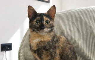 833f82f3-3322-4534-928c-715fbf69149d