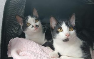 PHOTO-2026-02-08-15-25-02