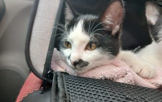 PHOTO-2026-02-08-15-25-03 2