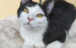 PHOTO-2026-02-26-09-20-18 2