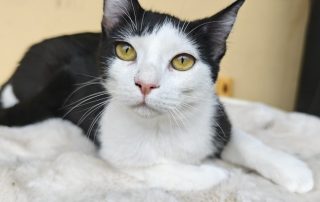 PHOTO-2026-02-26-09-20-18