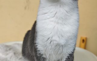 PHOTO-2026-02-26-09-21-08 2