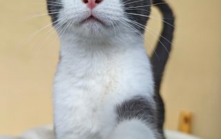 PHOTO-2026-02-26-09-21-08