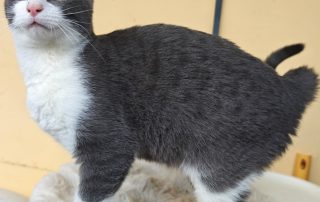 PHOTO-2026-02-26-09-21-09 2