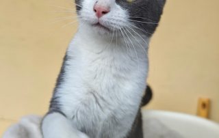 PHOTO-2026-02-26-09-21-09