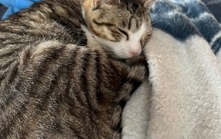 PHOTO-2026-02-26-12-35-15 2