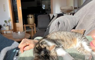 PHOTO-2026-02-26-12-35-15 3