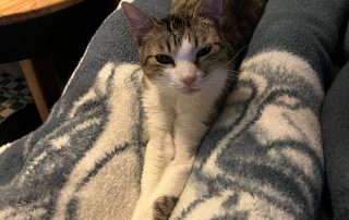 PHOTO-2026-02-26-12-35-15