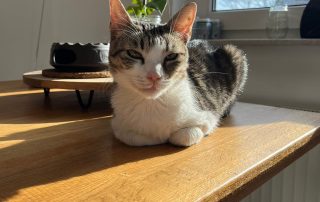 PHOTO-2026-02-26-12-36-24 2