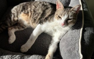 PHOTO-2026-02-26-12-36-24 3