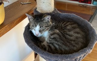 PHOTO-2026-02-26-12-36-24