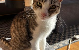 PHOTO-2026-02-26-12-36-25