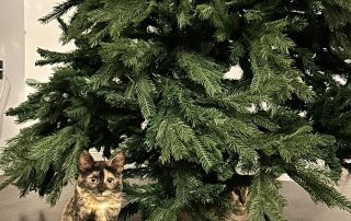 b8742309-ed74-4617-8069-608fd290ae96