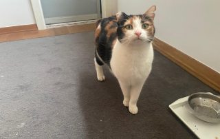 05e7da48-481c-4ab3-b2db-ad5f7a44677e