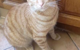 13fc13d0-273a-412b-95da-ea5421578a8f