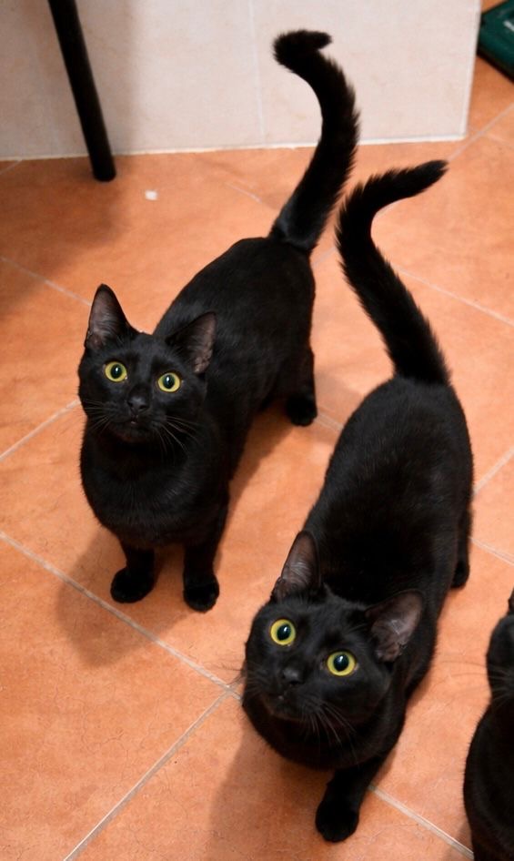 373f6f13-4130-46bc-b7e3-86984f9c6cf1