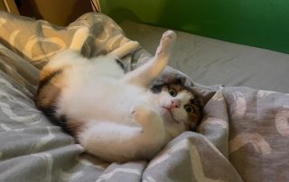 76de544a-b9cd-4844-9c10-05b1f0784907