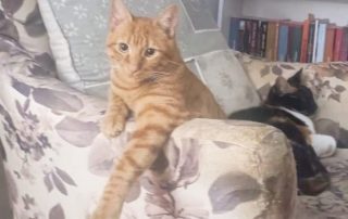 9962d7b2-4a0f-4a08-bf62-b0e779ed1aa8