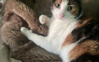 9bbb323d-cf3d-40b5-9e84-9da7c4882ecb