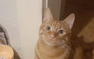 c0bc2cea-a9ca-41a9-b79c-3db267a86e3f