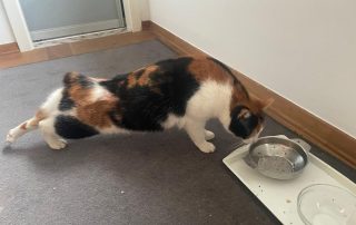 fbf322d0-0bc8-46dc-bca6-105632c42c3a