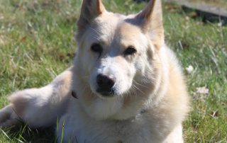 WhatsApp Image 2026-04-07 at 15.06.31