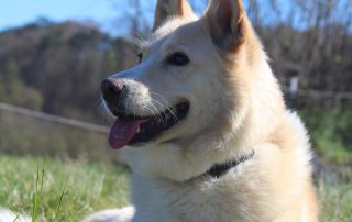 WhatsApp Image 2026-04-07 at 15.06.312222