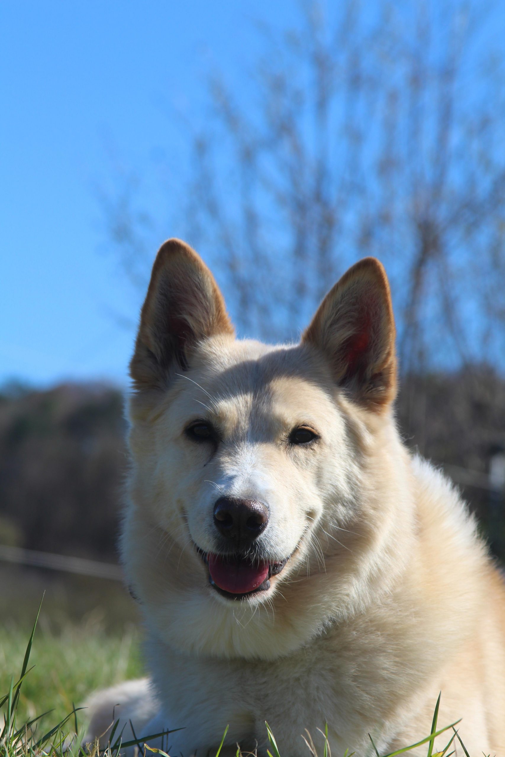 WhatsApp Image 2026-04-07 at 15.06.3211