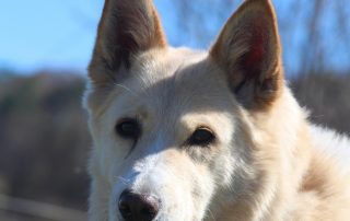 WhatsApp Image 2026-04-07 at 15.06.3222