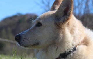 WhatsApp Image 2026-04-07 at 15.06.3233