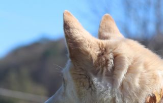 WhatsApp Image 2026-04-07 at 15.06.3244