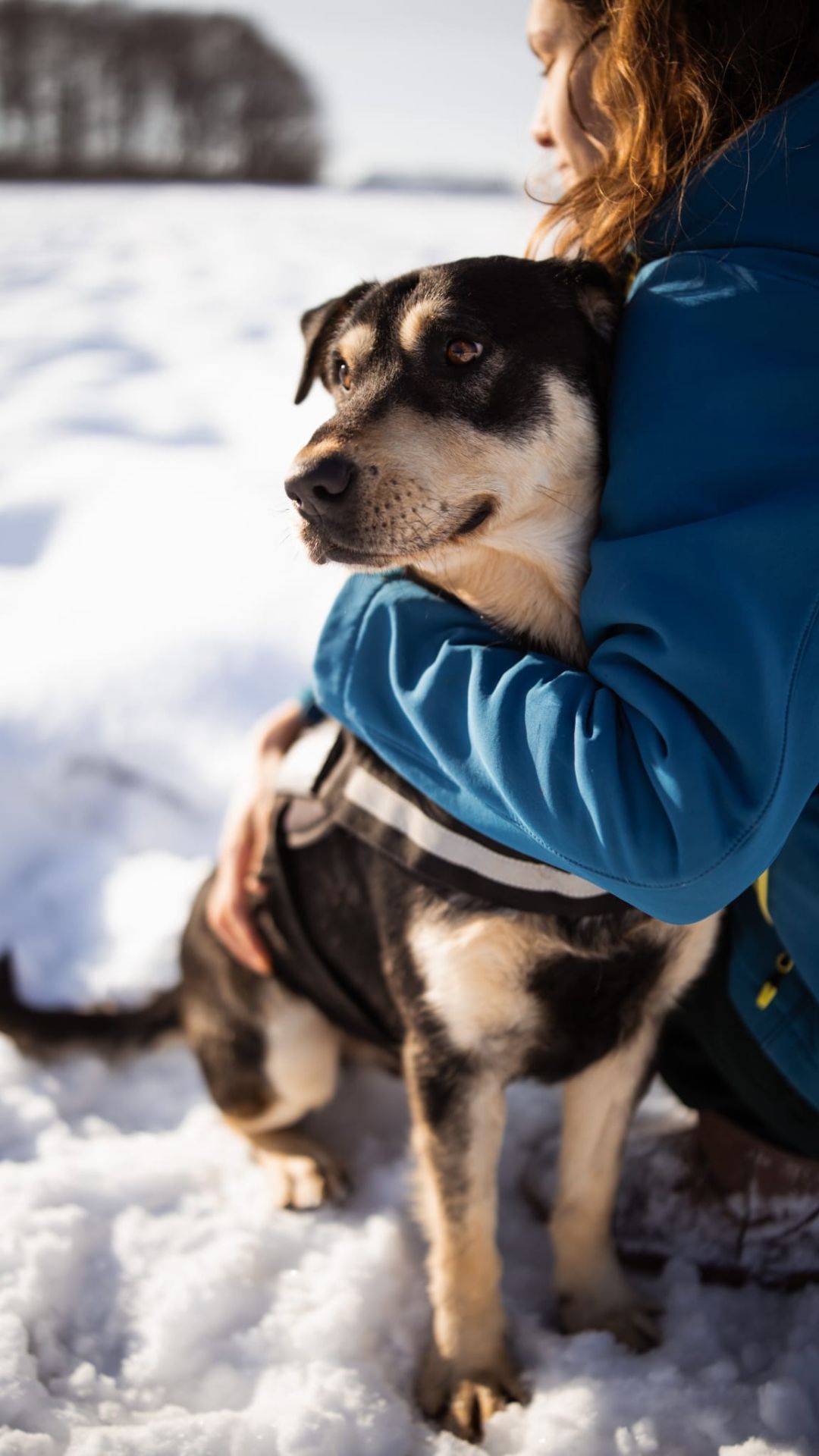 2026_Nordic-Strays-Dustin_00 (8)