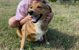 2026_Nordic-Strays-Maffi_00 (2)