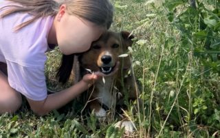 2026_Nordic-Strays-Maffi_001