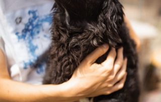 2026_Nordic-Strays-Milena_00 (11)